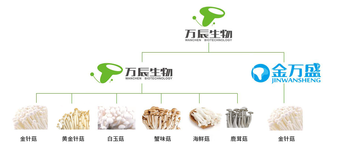 1725113083552996 1725113083552996